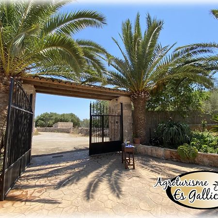 Agroturismo Es Gallicant Campos  Exterior foto