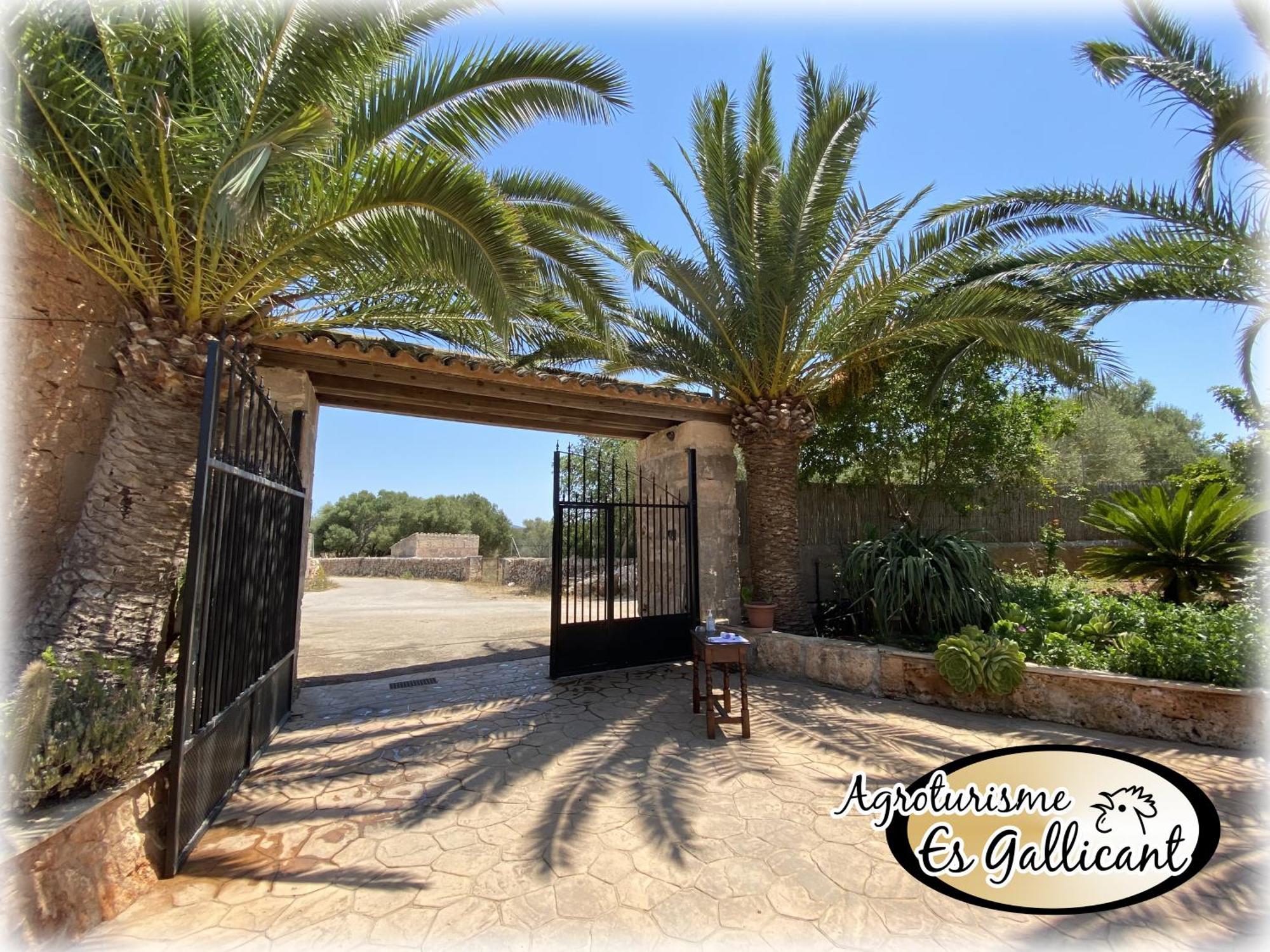 Agroturismo Es Gallicant Campos  Exterior foto
